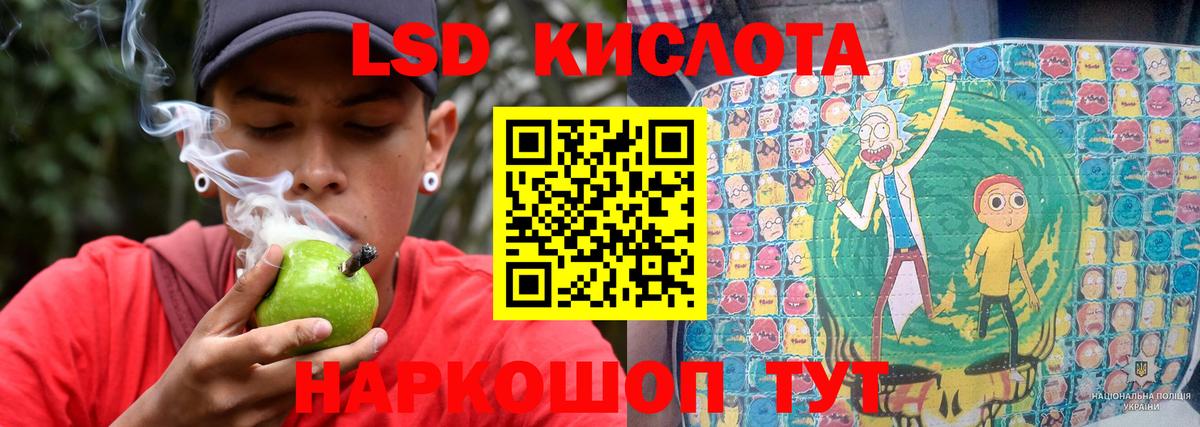 ЛСД экстази кислота  LSD-25 экстази кислота  Вход с VPN  Заводоуковск 