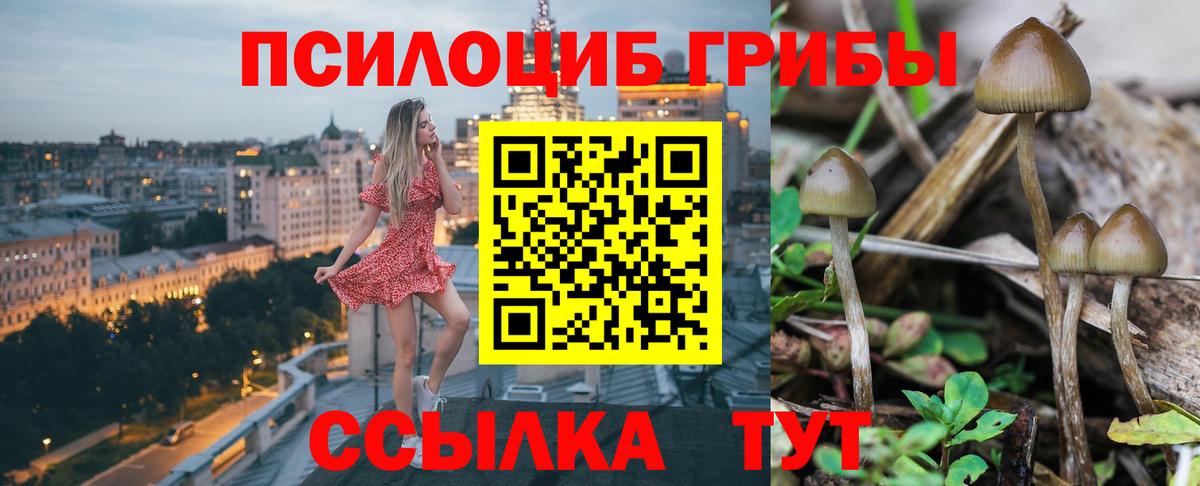 Псилоцибиновые грибы Psilocybe  Псилоцибиновые грибы Psilocybe  Вход с VPN  Заводоуковск 